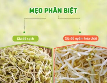 phan-biet-gia-do-sach phan-biet-gia-do-sach